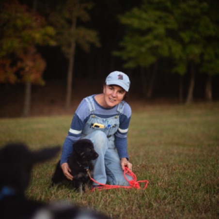 Puppies this young stay tethered most of the time Puppies this young stay tethered most of the time